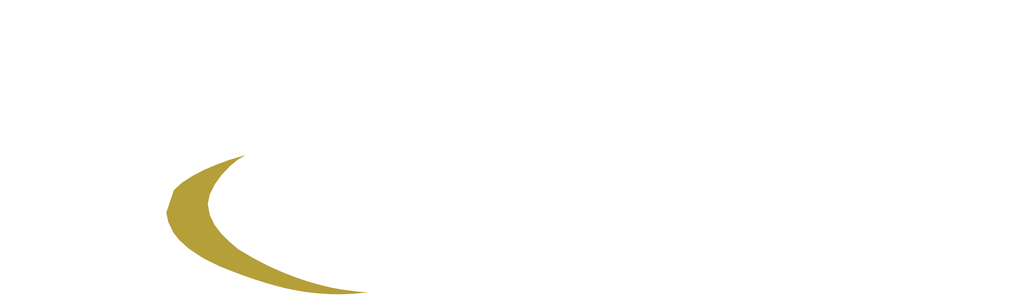 Rispo Construction Limited Logo